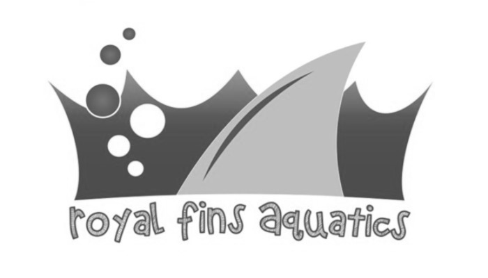 Royal-Fins-001-a-300x171-1